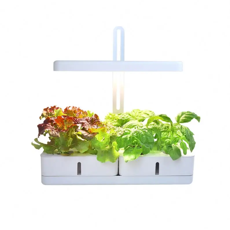 Minigarden gardyn hydroponic system indoor hydroponic growing systems intelligent garden 2022