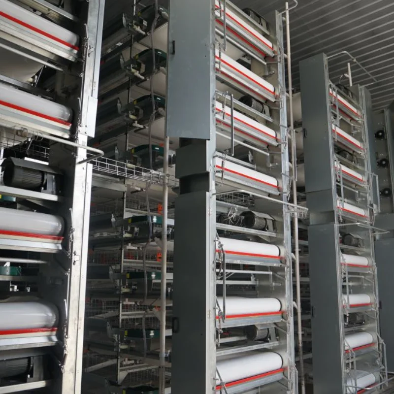 Chicken Layer Cages 10000 Birds Hot Dipped Galvanized Chicken Cage Poultry Equipment Shed Breeding Cage