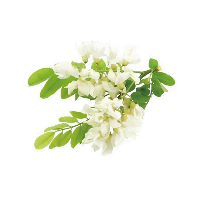 Best Quality Pure Natural Sweetener Rhamnose Pagoda tree flower Extract Rhamnose 98%