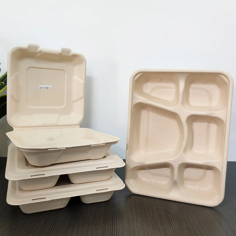 Eco-Friendly Food Grade Biodegradable Sugarcane Bagasse Box Factory Price take away bento lunch food container box