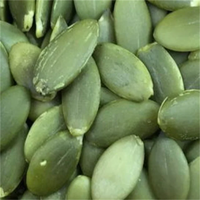 Export Good Quality Fresh Chinese Green Pumpkin Seeds