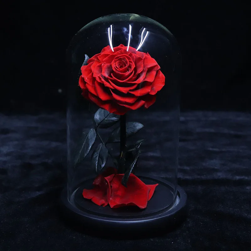Gift Preserved Flower Eternal Rose in Box Valentine Wholesale Luxury Everlasting Stabilized Preserved Rose in Glass Dome