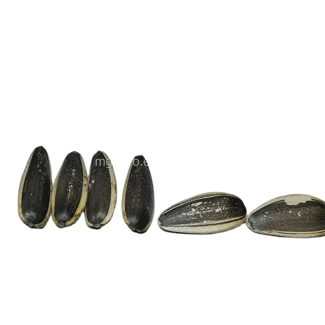Black sunflower seeds 363/361 Chinese supplier Export