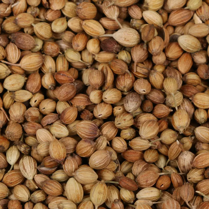 Прямые продажи с оригинального нового урожая, 100% натуральные сильный вкус, семена кориандра