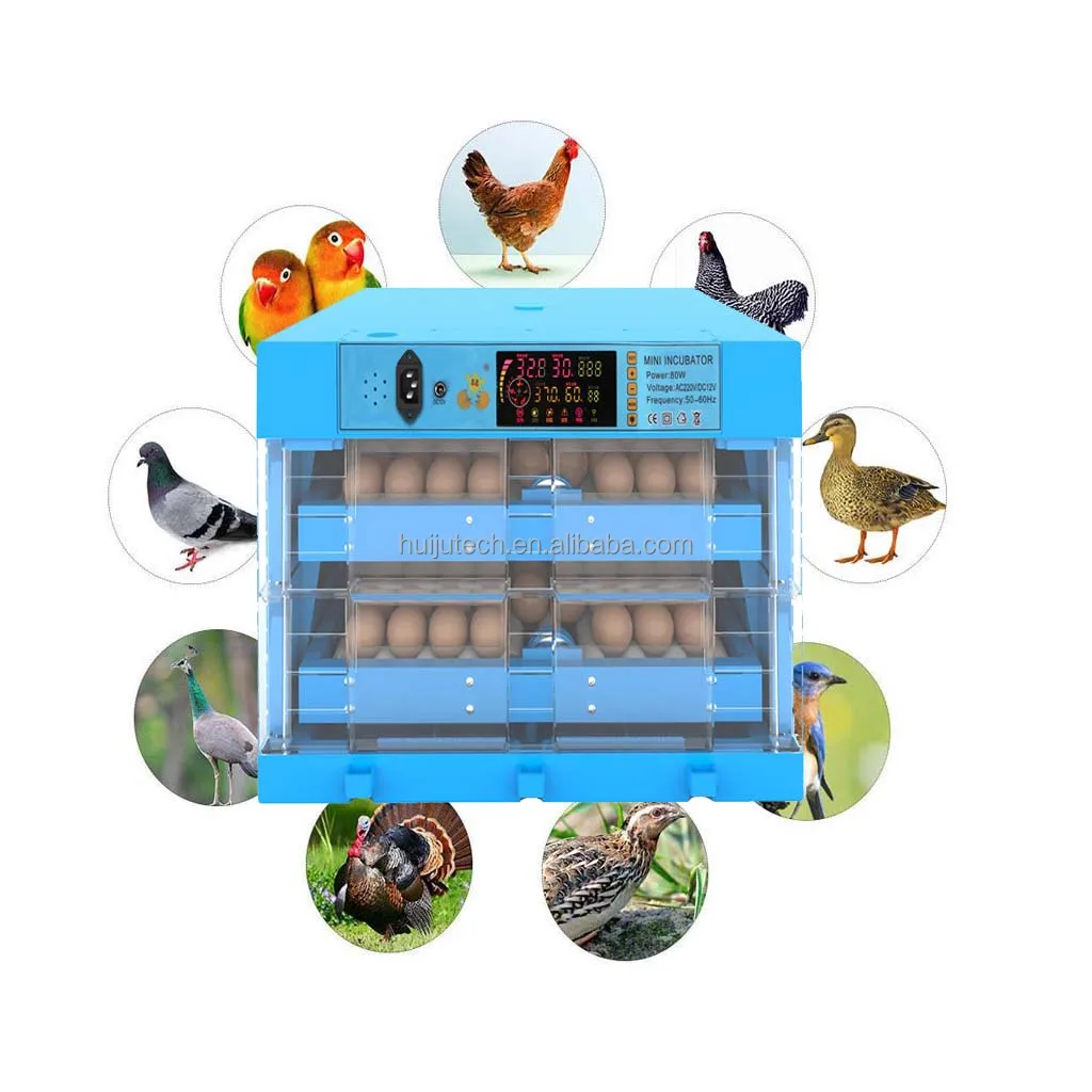192 eggs Automatic High Quality Mini Electric Double Dc12v Ac220v Chicken Egg Incubator Egg Hatching Machine  HJ-MN192