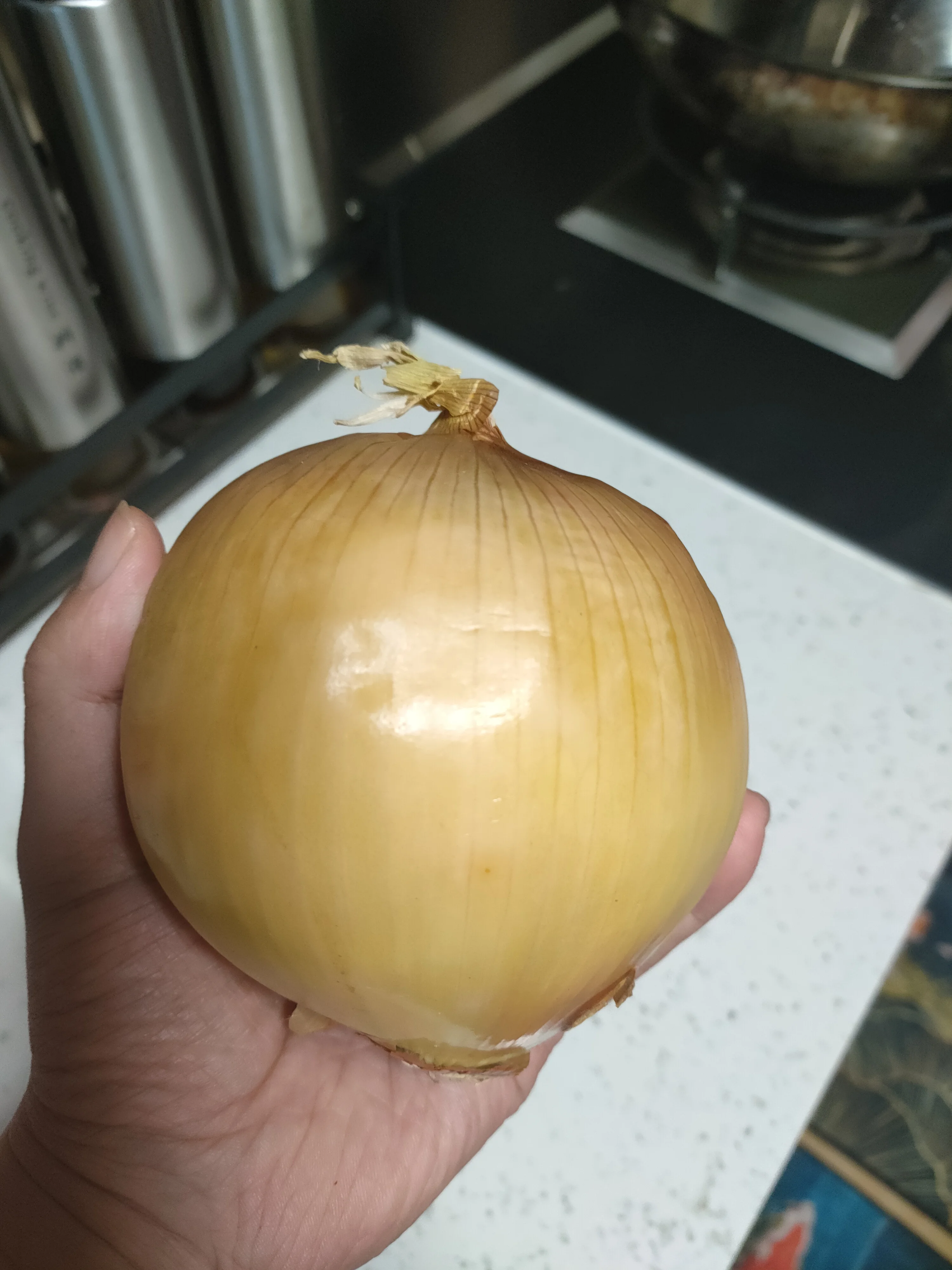
Fresh Onions are red and yellow and cheap 