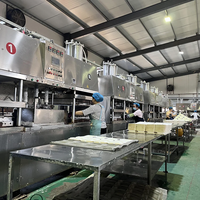 Wongs high speed paper pulp food container making machine made by bagasse pulp