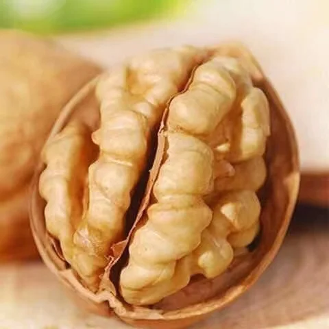 China Wholesale Yunnan Original 185 Walnuts 33mm Food Carton Packaging From Shaaxi Xian City Low Raw Material Shell 3A