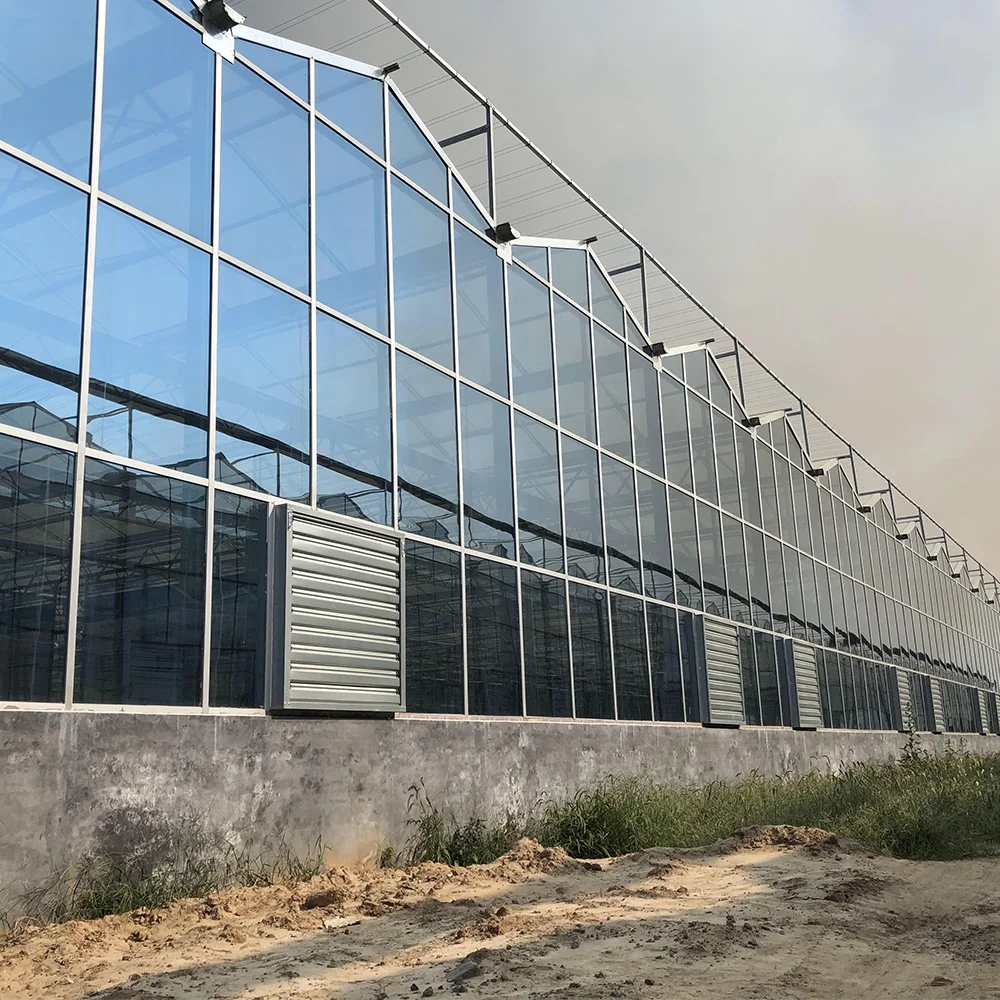  Многопролетная стеклянная теплица Harvest Vale Venlo сельскохозяйственная для выращивания овощей цветов лекарственных