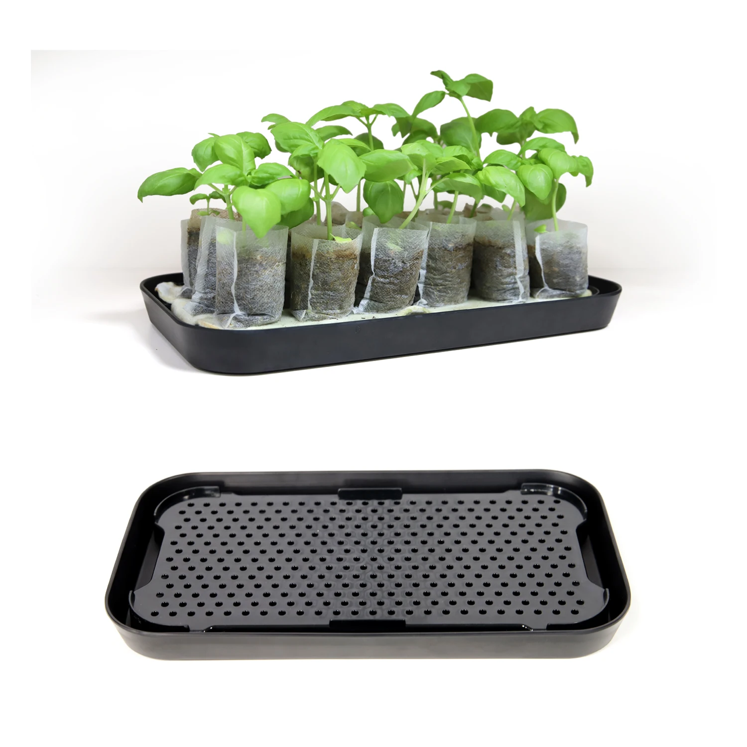 Eco Friendly Strawberry Seed Starter Pots Nursery Seedling Tray With Biodegradable Seedling Bags