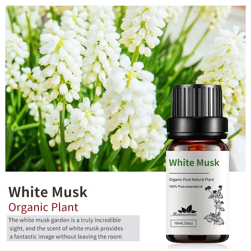 0.33oz 10ml Premium Grade Natural Organic Essential Oil Skin Care Aroma Diffuser Massage Reed Diffuser Oils Bulk Pure Oils