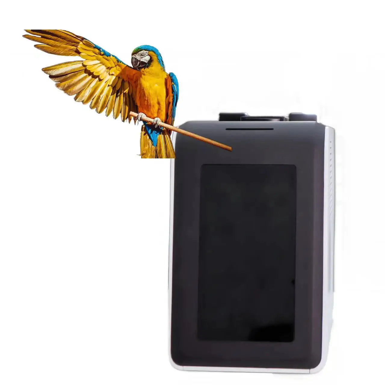 Feline Infectious Peritoneal Calicivirus Herpes Test 4 Channel Teste De Pcr Bird Pet Dna Pcr Real Time Machine Pcr