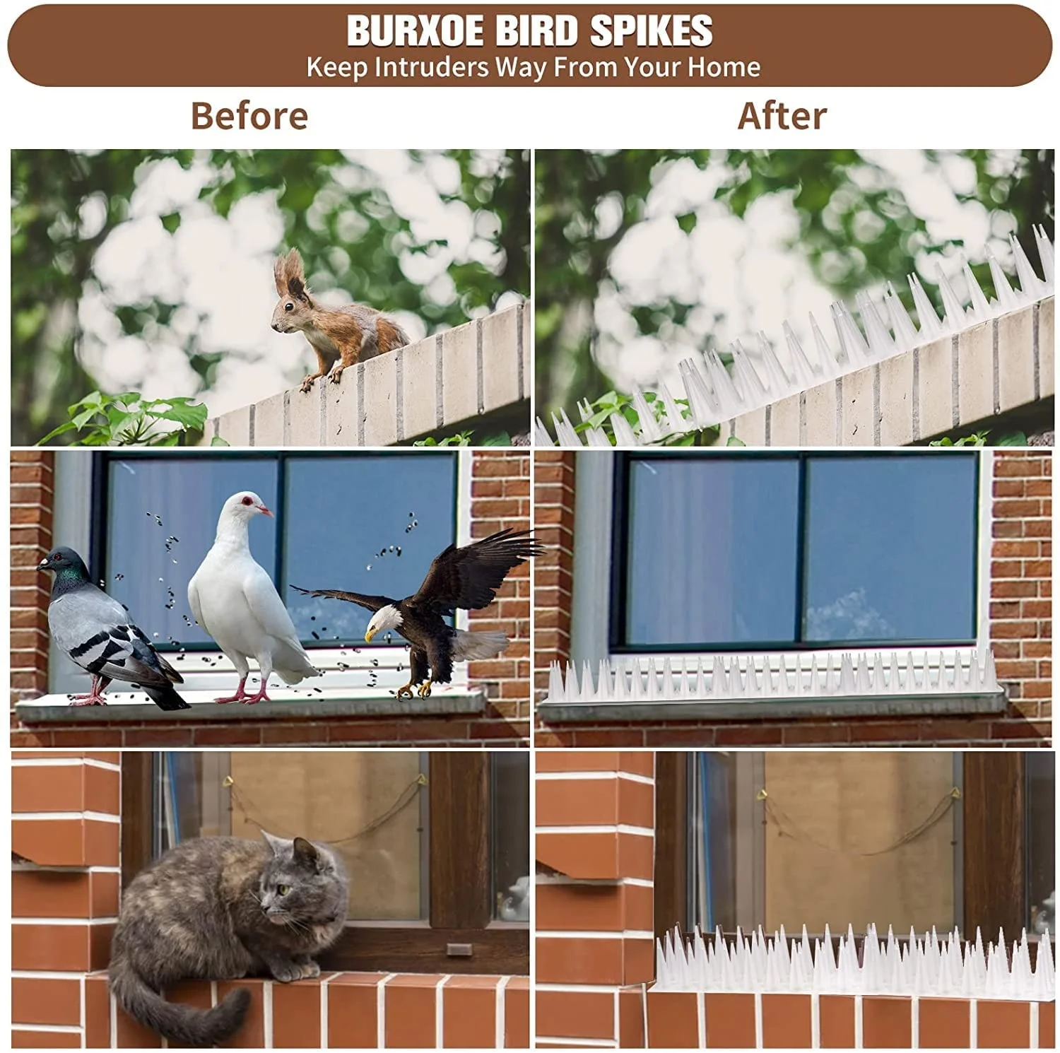 Seicosy Wholesale Hotsale Keeps a Pigeon Away Off Deterrent Plastic Fence Spikes Anti Cat Bird Spikes Strips Bird Repeller