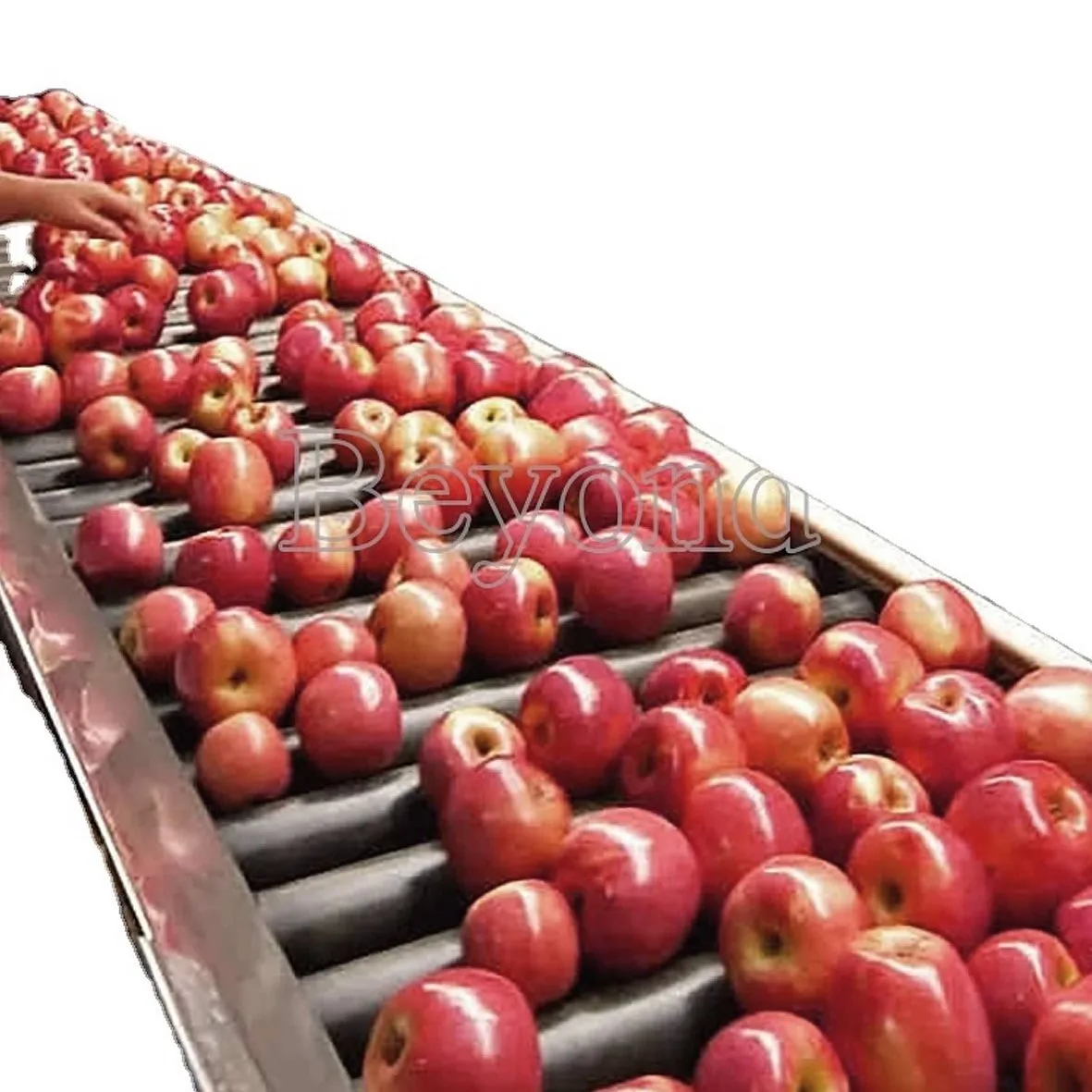 Fruit apricot juice production line cherry sorting machine