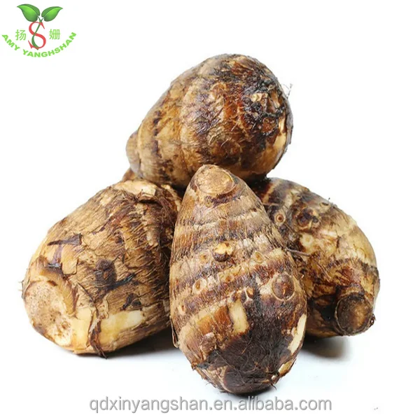 Новый урожай китайского корня Таро, поставка с завода свежих овощей, свежий Таро эддо, Коко ямс, кокосы