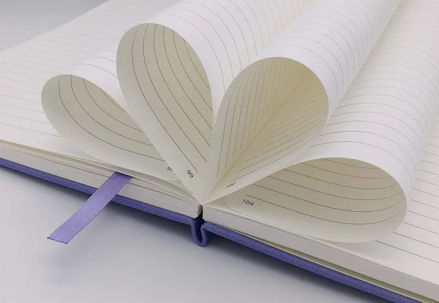Best Hardcover Notebook with Pen Loop A5 Writing Journal College Ruled Lined Numbered Pages of Premium Thick Paper