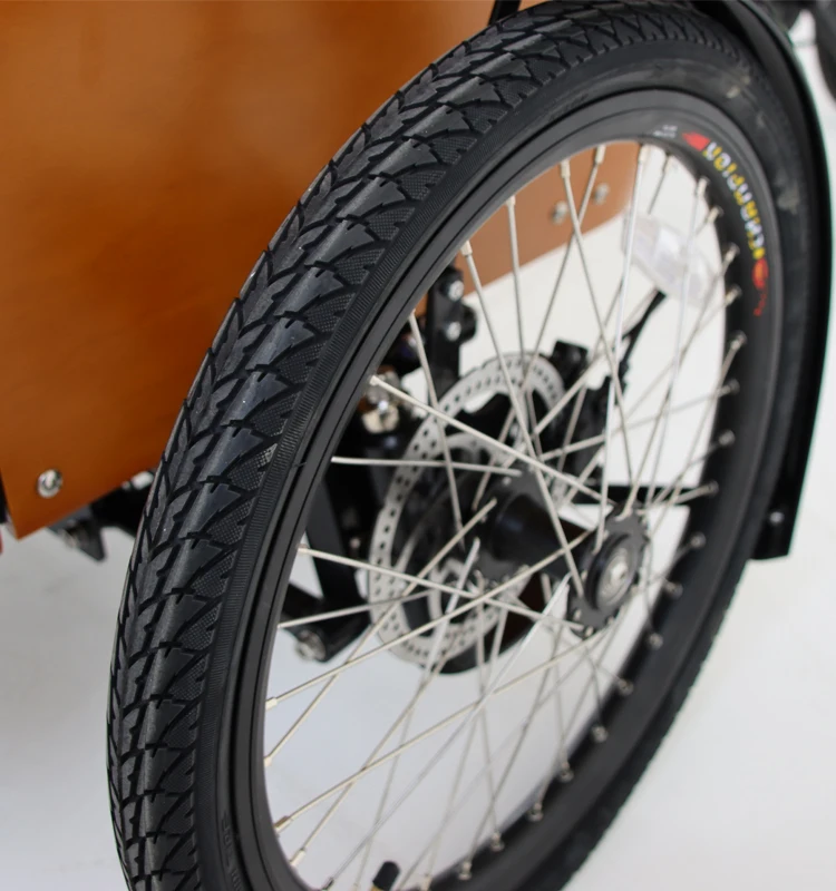 Europe Style 3 Wheel Bicycle With Cargo Box Front Loading Cargo Tricycle For Sale Electric And Manual Version Cargo Bike