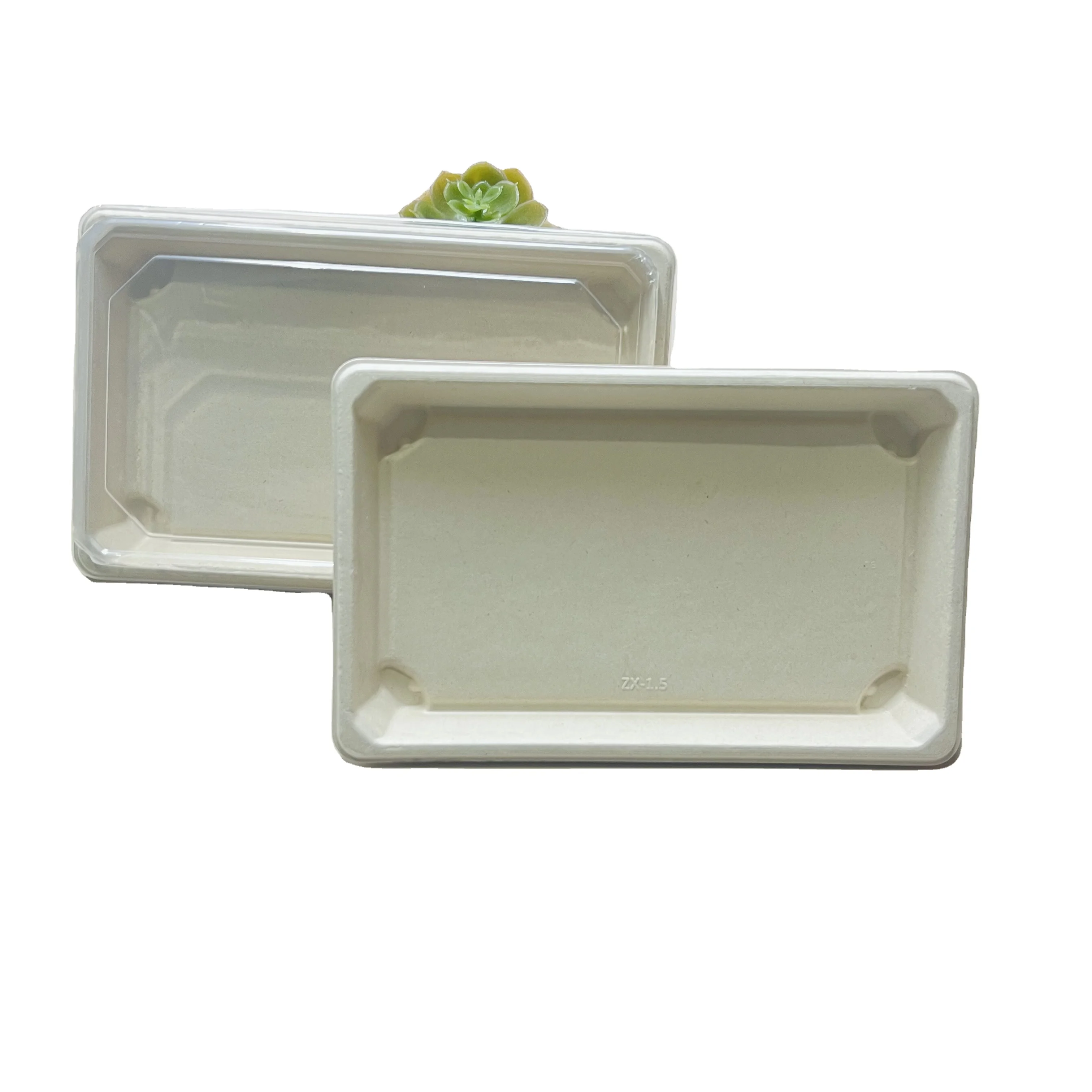 Wholesale Disposable Biodegradable Sugarcane Plates Meat Tray For Supermarkets Bagasse Rectangle Sushi Tray 05