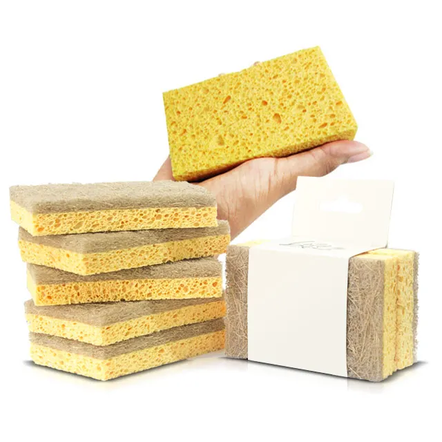 Wholesale Environmental protection Reusable Coconut wood pulp sponge for kitchen