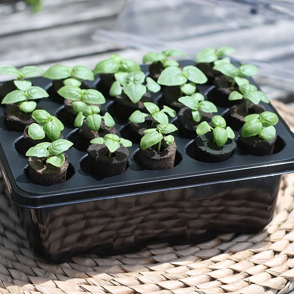 Indoor Plant Pods Soilless Hydroponics Smart Soil Grow Sponges Plugs Coco Peats Block For Planting Seedling Basket