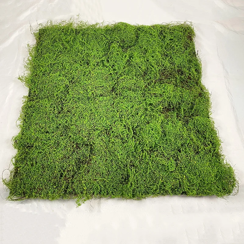 Small 30cm Artificial Moss Lawn Artificial Panel Grass Wall Decor Wall Green Artificial Moss For Backdrop Decoration