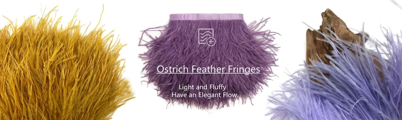 ostrich ostrich-banner