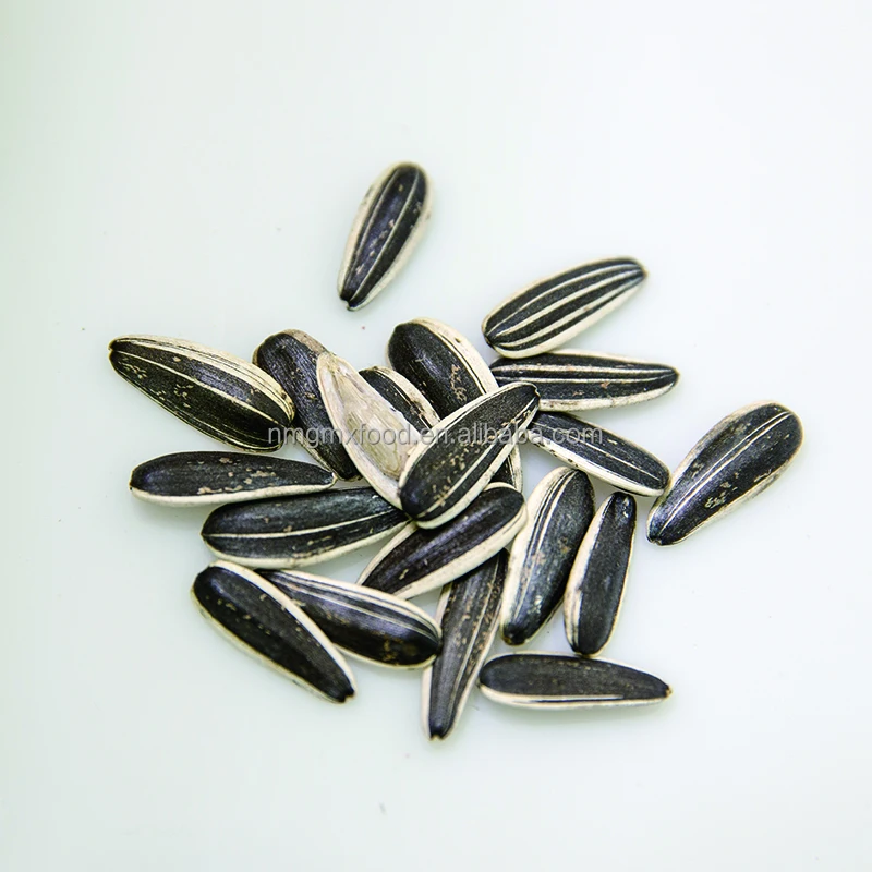 Натуральные семена подсолнечника 601 для экспорта урожая внутренней Монголии