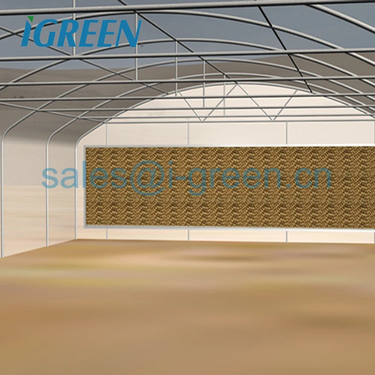 Single tunnel straight wall polycarbonate sheet vegetable greenhouse from China for tractor to go through