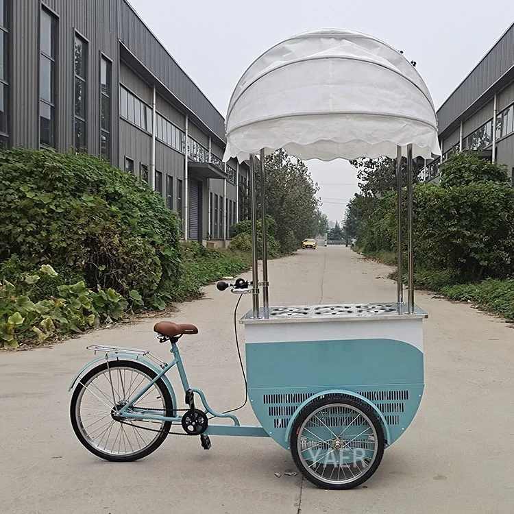 100L Freezer Ice Cream Cargo Bike, Mobile Bar Party Bike Cart Fruit Vending Machine Bicycle Mobile Restaurant Nut Milk Machine