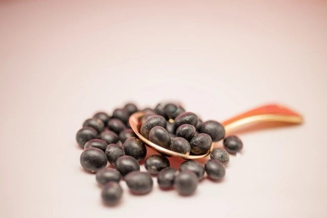 Confectionary  steamed vegetable protein beans processing plant hokkaido