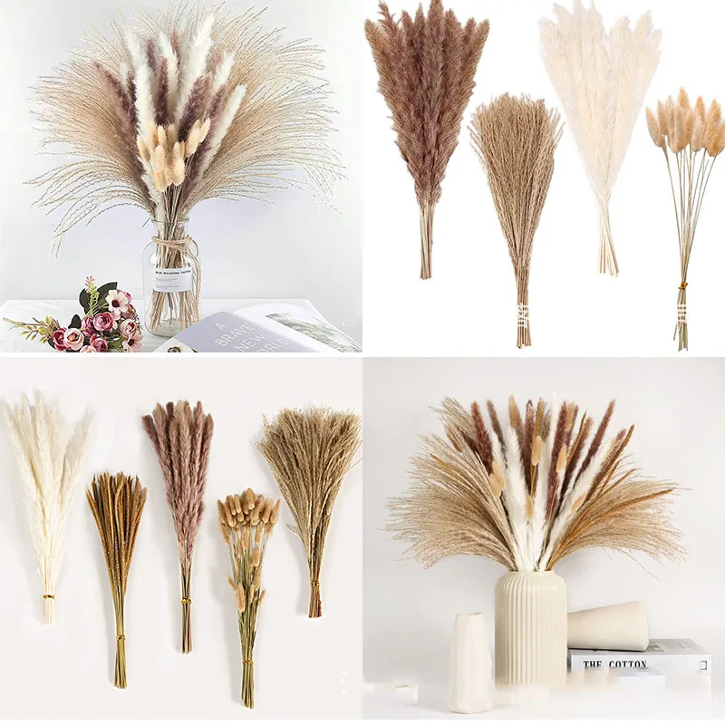 Natural Bouquet Fluffy Dry Flower Wholesale Decorative Vase Pampas Grass Flower Pompous Grass Dried Pampas Grass