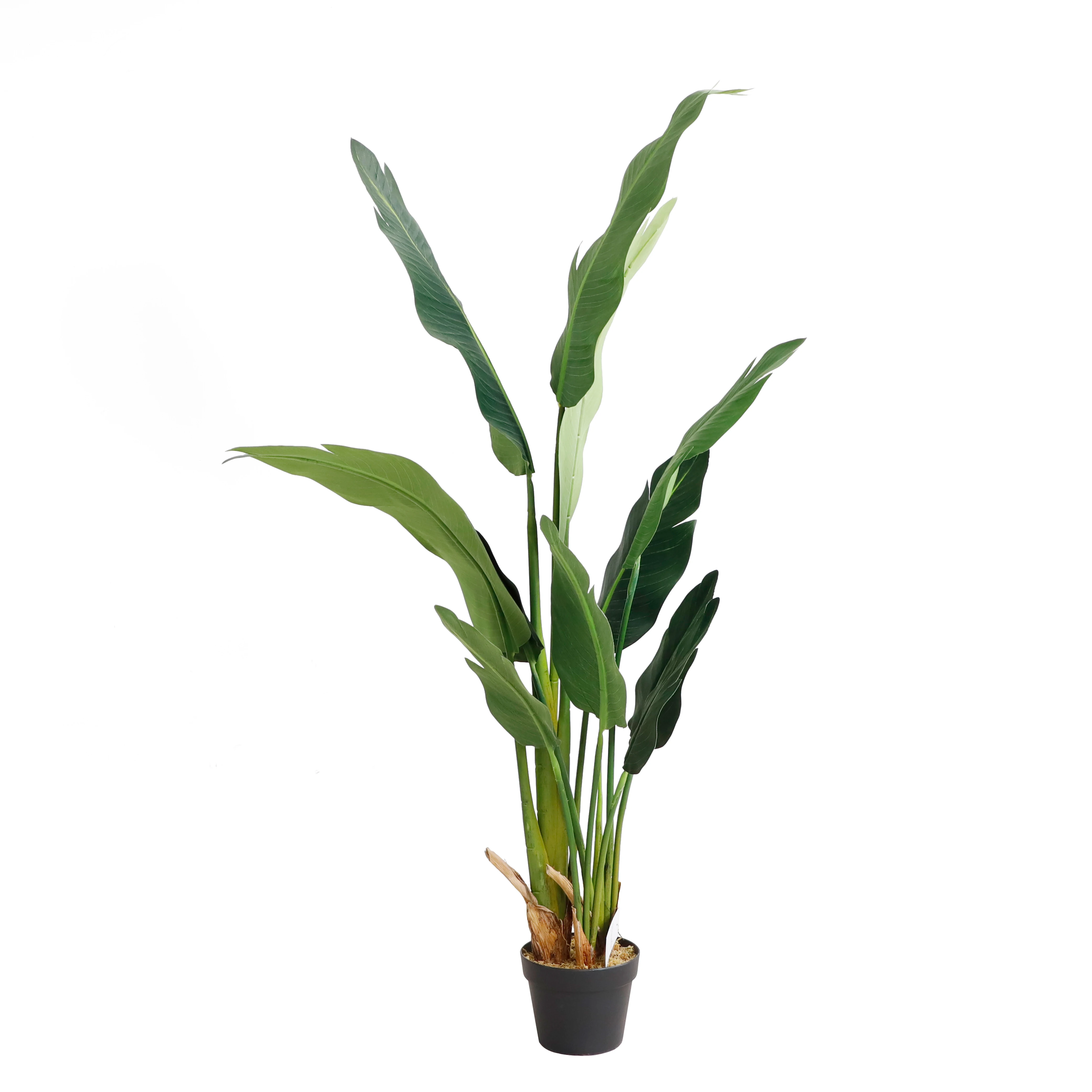 Artificial Traveller Banana Tree Heliconia Librata Griggs Fan Leaves Carton Modern Decorative Flowers & Wreaths 100 Pcs CN;GUA