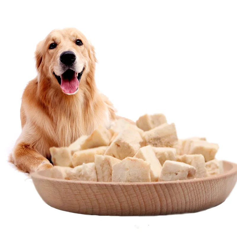 Free samples wholesale OEM block cube freeze dried salmon meat treat food for pet feeding