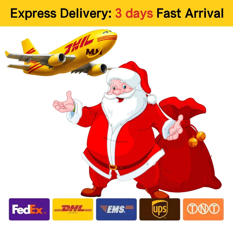 Рождественская доставка от двери до DHL FEDEX UPS Express Service морской железной дороги авиаперевозчик Китай в Европу грузовой экспедитор