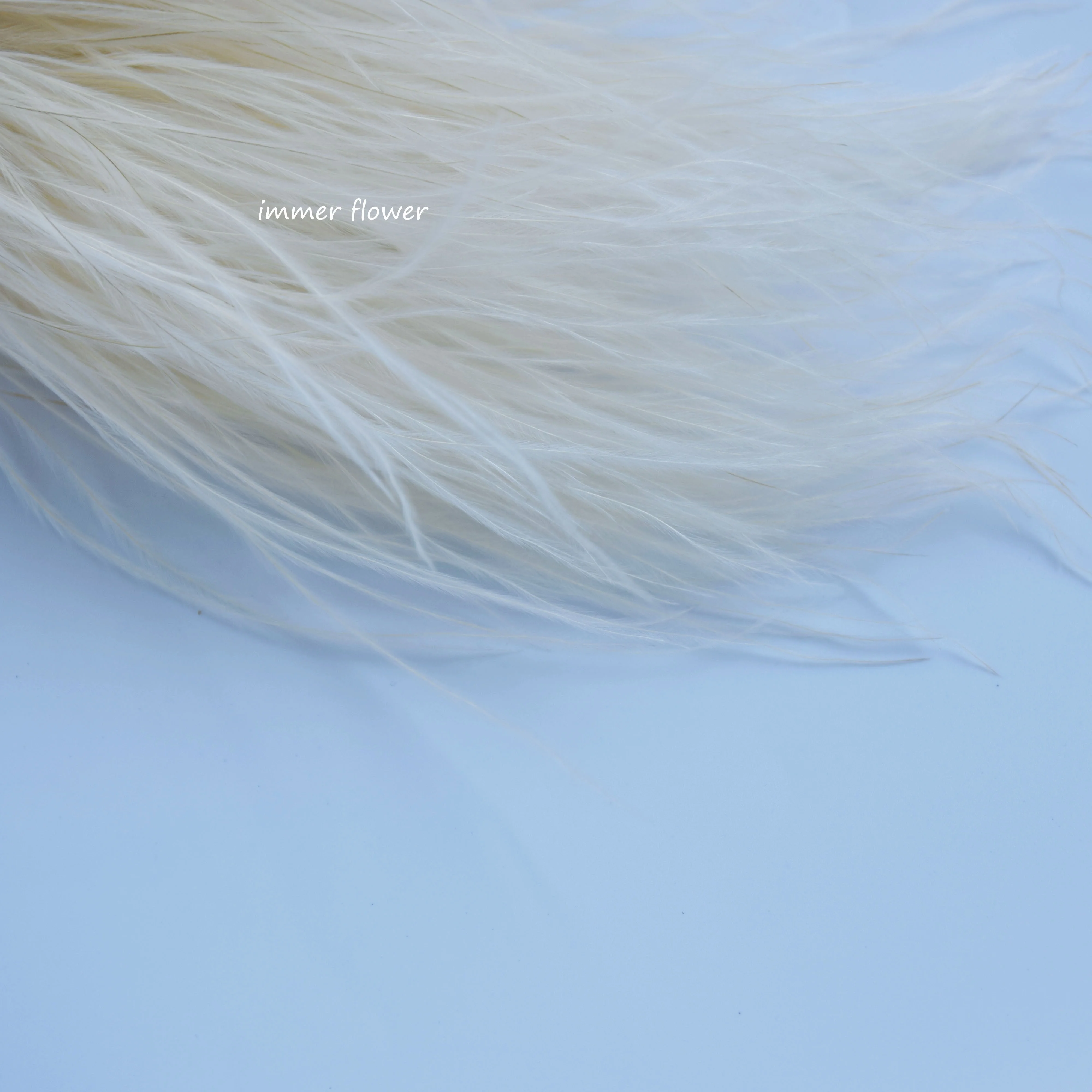 Beautiful Feather Grass Stifa Flower from China