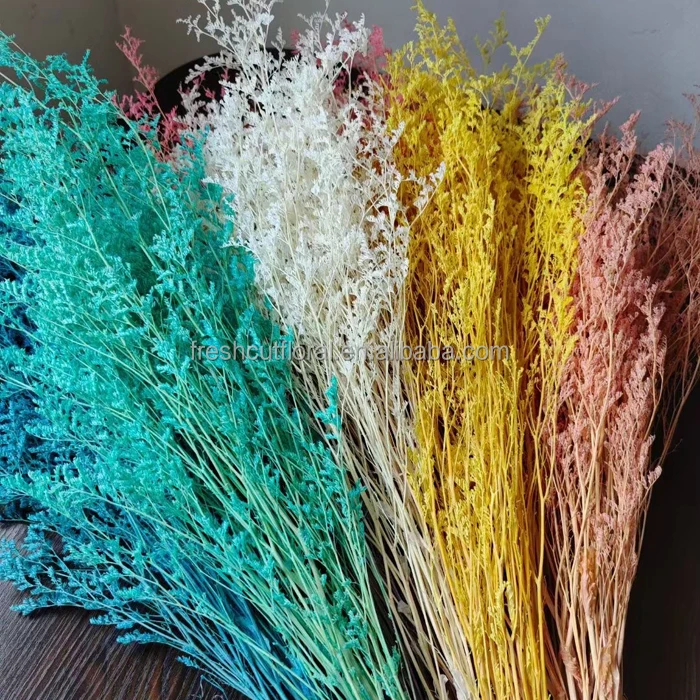 Amazona Yunnan Wholesale Dried Flowers Supplier Stabilized Preserved Flower Limonium Flower Bouquet Fiore Caspia Limonium