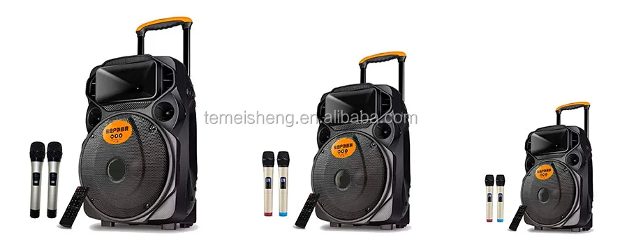 2024 hot sale 8 Inch good sound playing party speaker Portable Amplifier usb wireless Trolley Speaker Box With Microphone