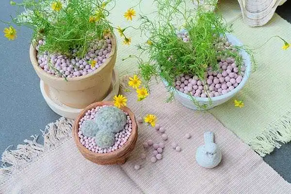 Aqaurium plants fertilizer Water grass base fertilizer ceramsite ceramsite succulent nutrient soil