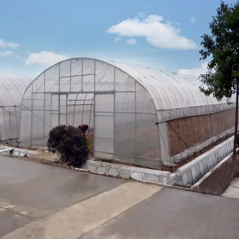 Низкая цена горячая Распродажа Тепличный пластиковый материал высокий туннель сельское хозяйство теплица для продажи