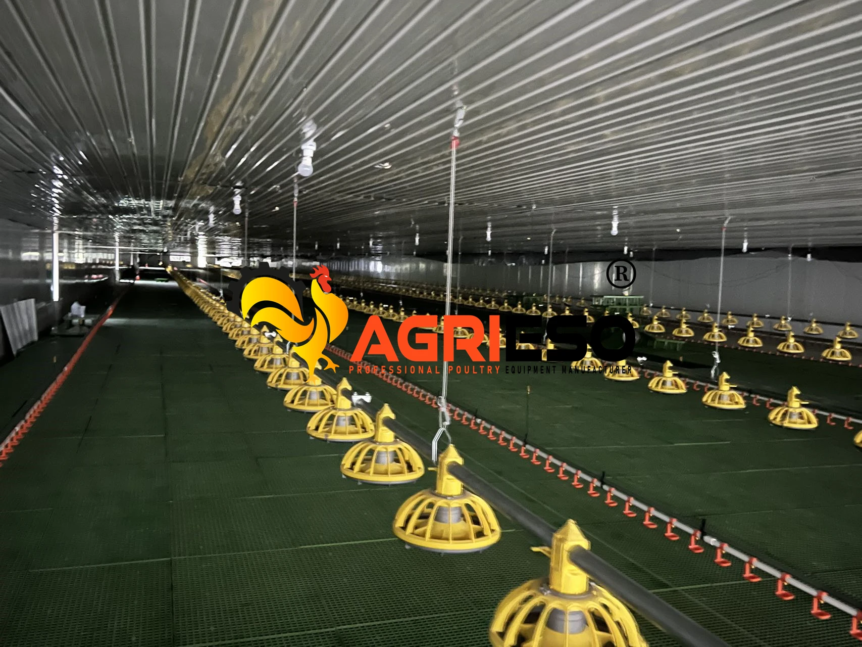 Agrieso Automatic Poultry Equipment PP Plastic High Quality Chicken Broiler Feeder Pan Feeding Line System For Chicken