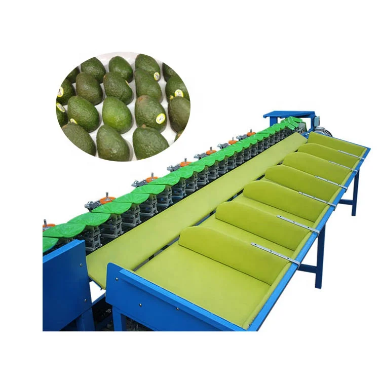 Эффективная двухполосная машина для измерения веса для сортировки и сортировки фруктов, многофункциональные сортировщики веса
