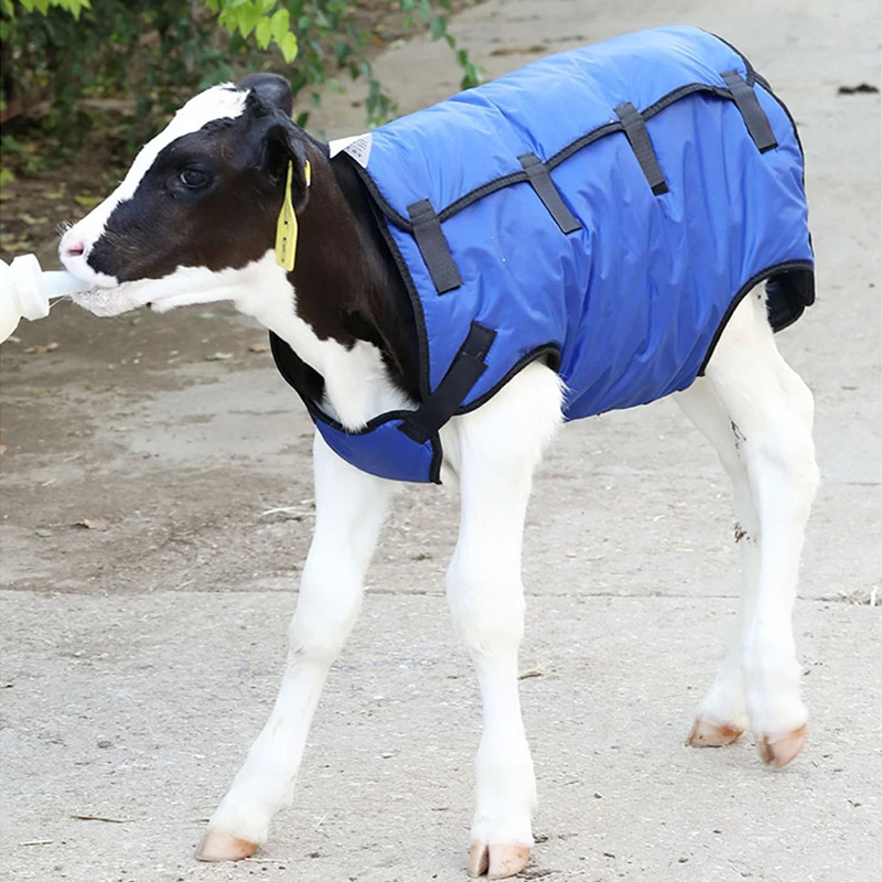 Great Farm Best Seller Durable Waterproof Cotton Livestock Warm Clothes for Calf Home Use Animal Farm