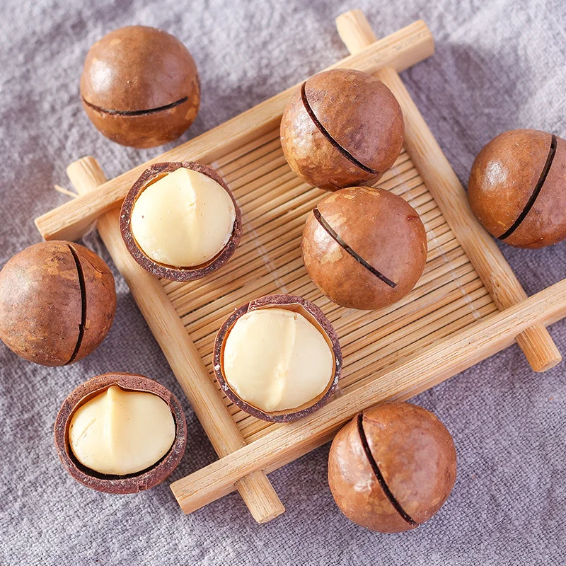 Low price healthy snacks pure natural original flavor with no added green nuts milky macadamia nuts