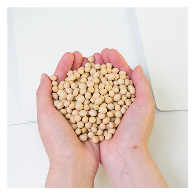 Bulk dried protein soybeans to promote digestion and absorption