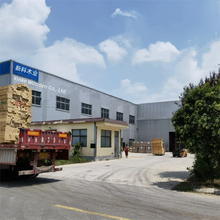 Wall Mounted Bookcase Floating Shelf Kids Bedroom Bookshelf Kitchen Spice Rack Wholesale Wooden Bookshelves For Children Room