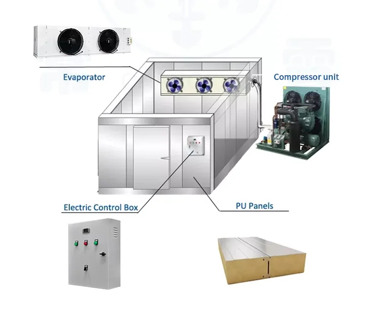 Hot sell Cold Storage Room For Fruits And Vegetables in Philippines