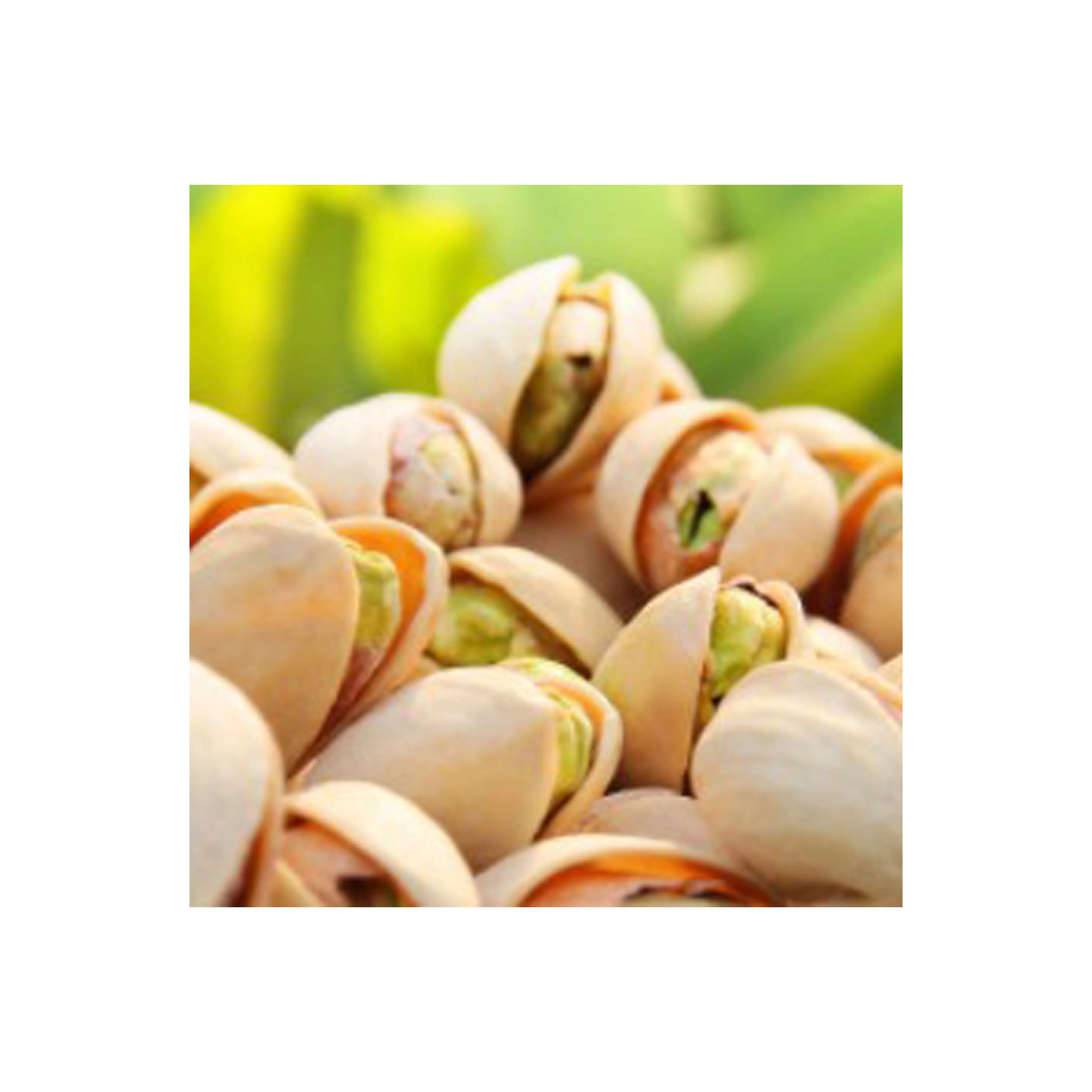 Light half walnuts raw premium prices pistachio nuts wholesale