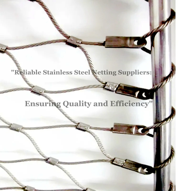 The New Listing Easy To Install Flexible Metal Strong Rope Mesh For Zoo