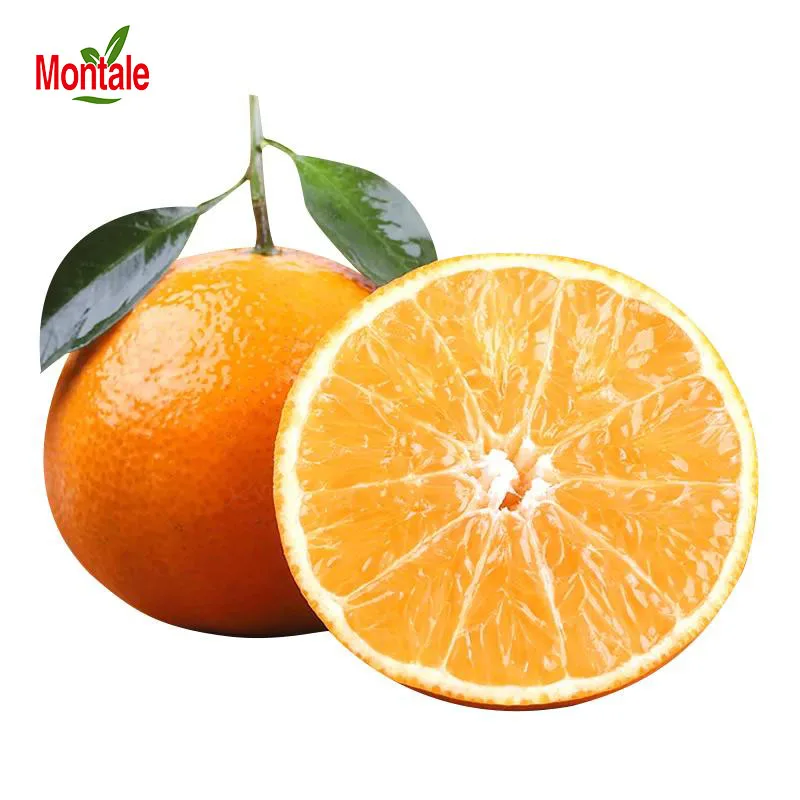 orange fruit newhall orange new market tang orange