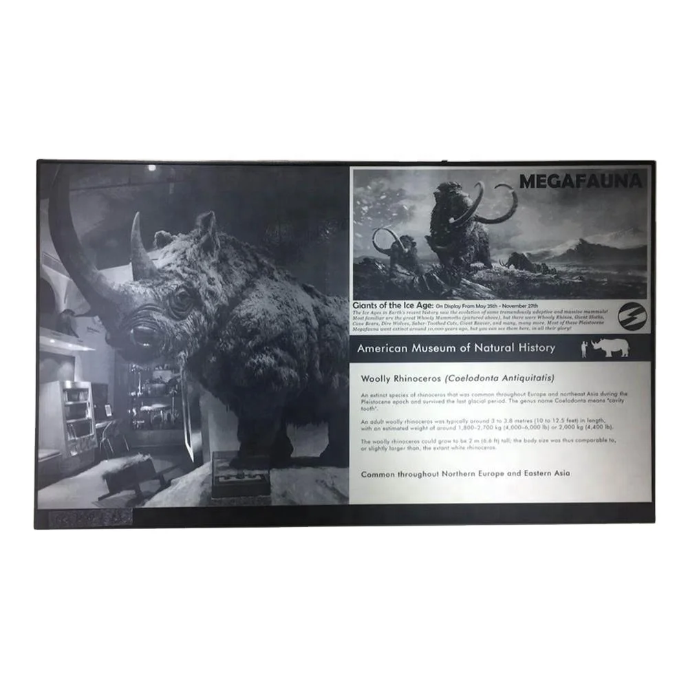 large e-ink display 31.2 inch epaper monitor for advertising display